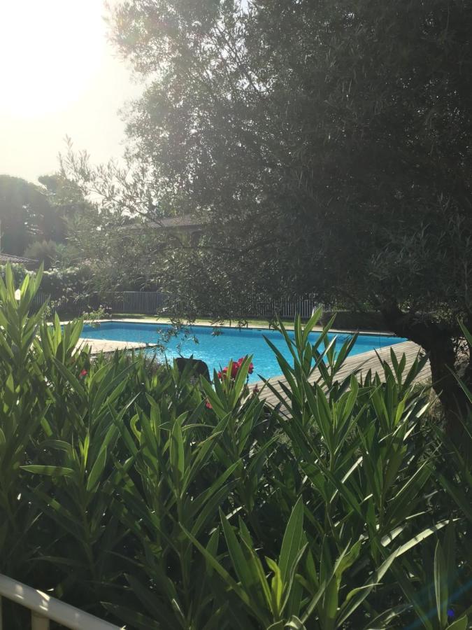 포르토베쉬오 Appt T2 Standing Avec Piscine Et Terrasse 아파트 외부 사진